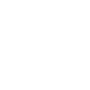 Maedy logo wit 300px